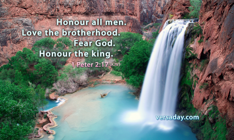 1 Peter 2:17 - Verse for February 17