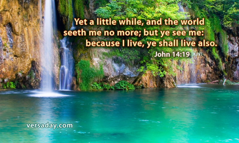 John 14:19 - Verse for September 14