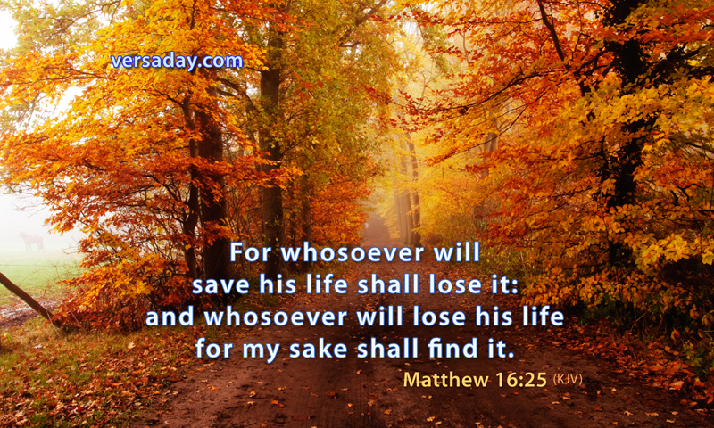 Matthew 16 25 Verse For October 20