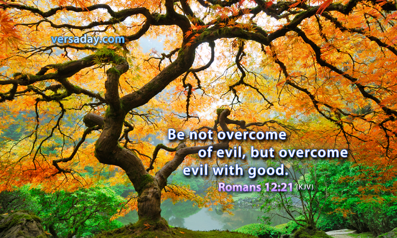 Romans 12 21 Verse For May 1